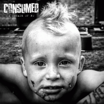 Consumed : A Decade of No